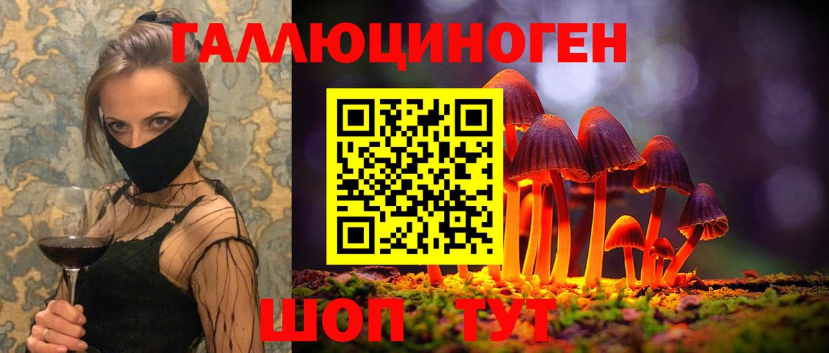 Галлюциногенные грибы прущие грибы  Псилоцибиновые грибы Cubensis  где продают   Вход с VPN  Сальск 