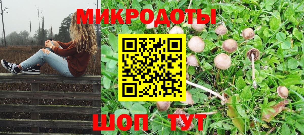 Галлюциногенные грибы MAGIC MUSHROOMS Сальск